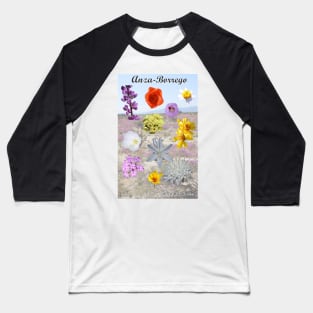 Anza-Borrego Desert Wildflowers Baseball T-Shirt